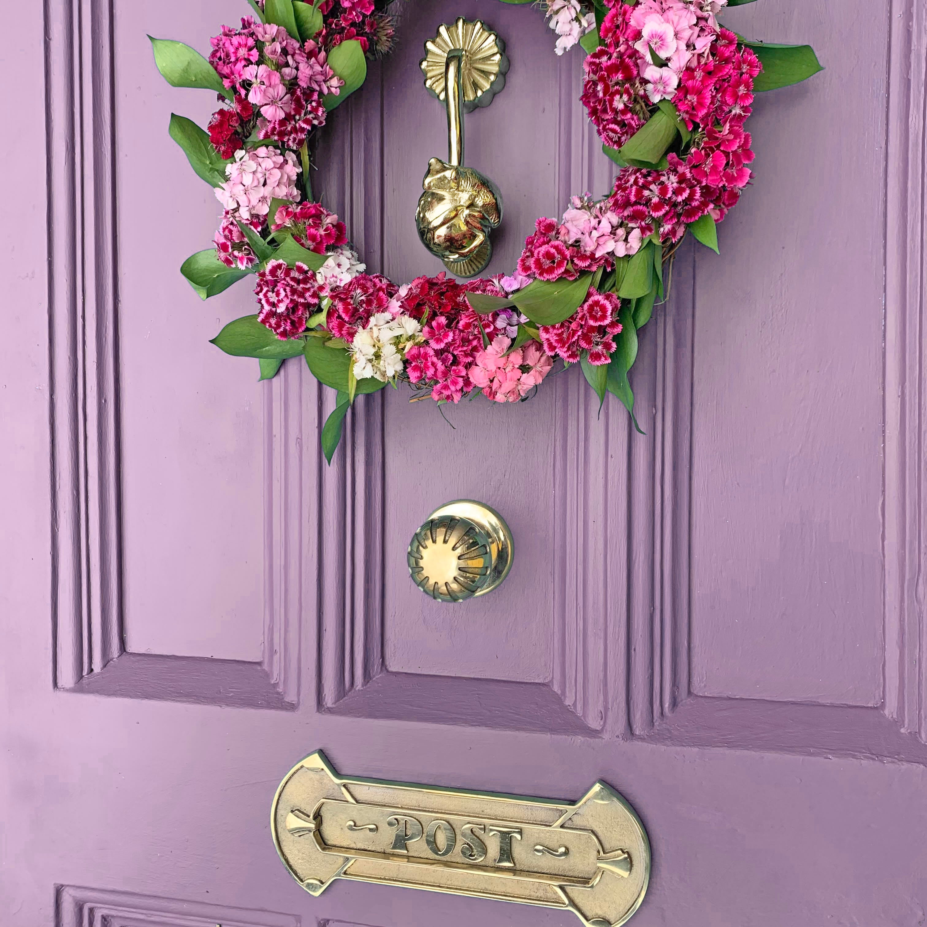 Amphibia Door Knocker