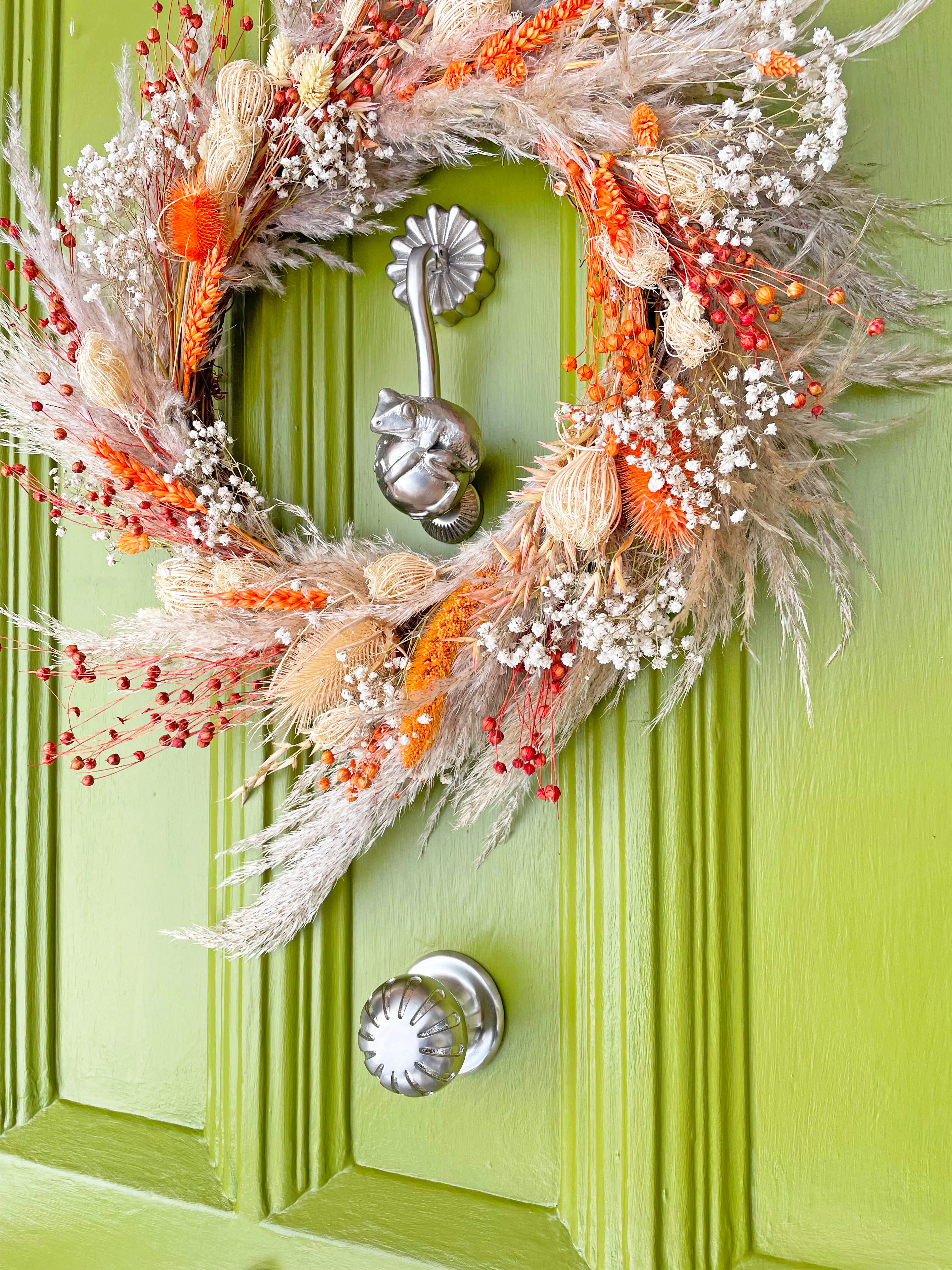 Amphibia Door Knocker