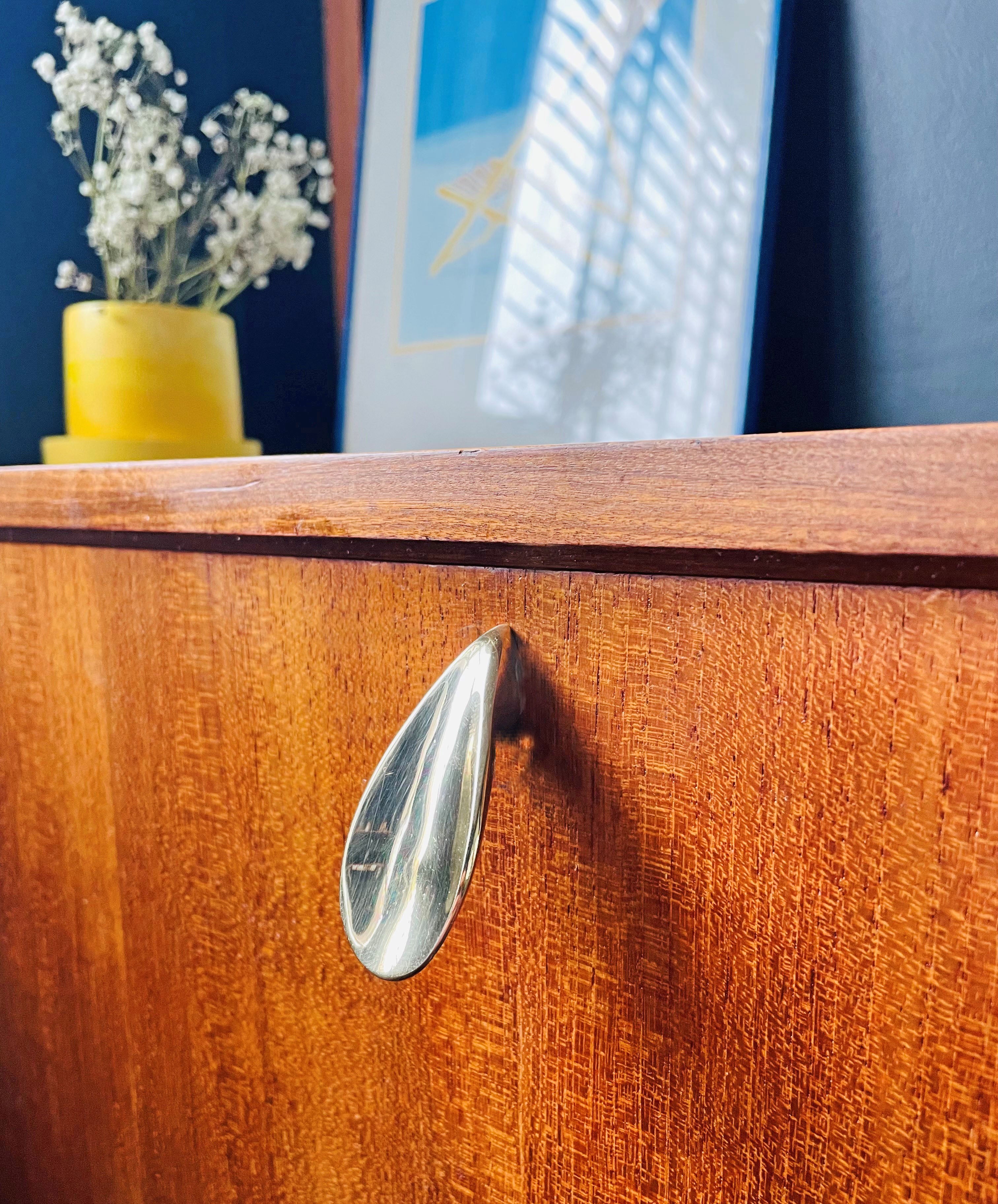 Petal Cabinet Pull