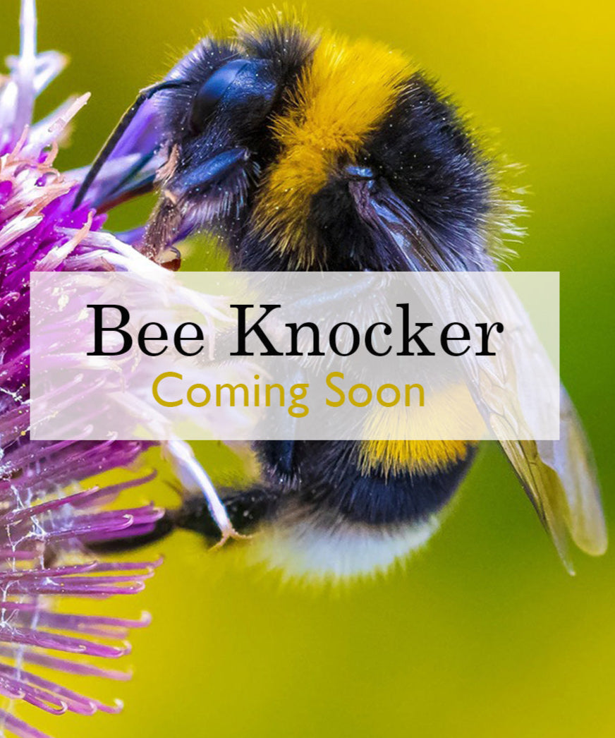Bee Door Knocker
