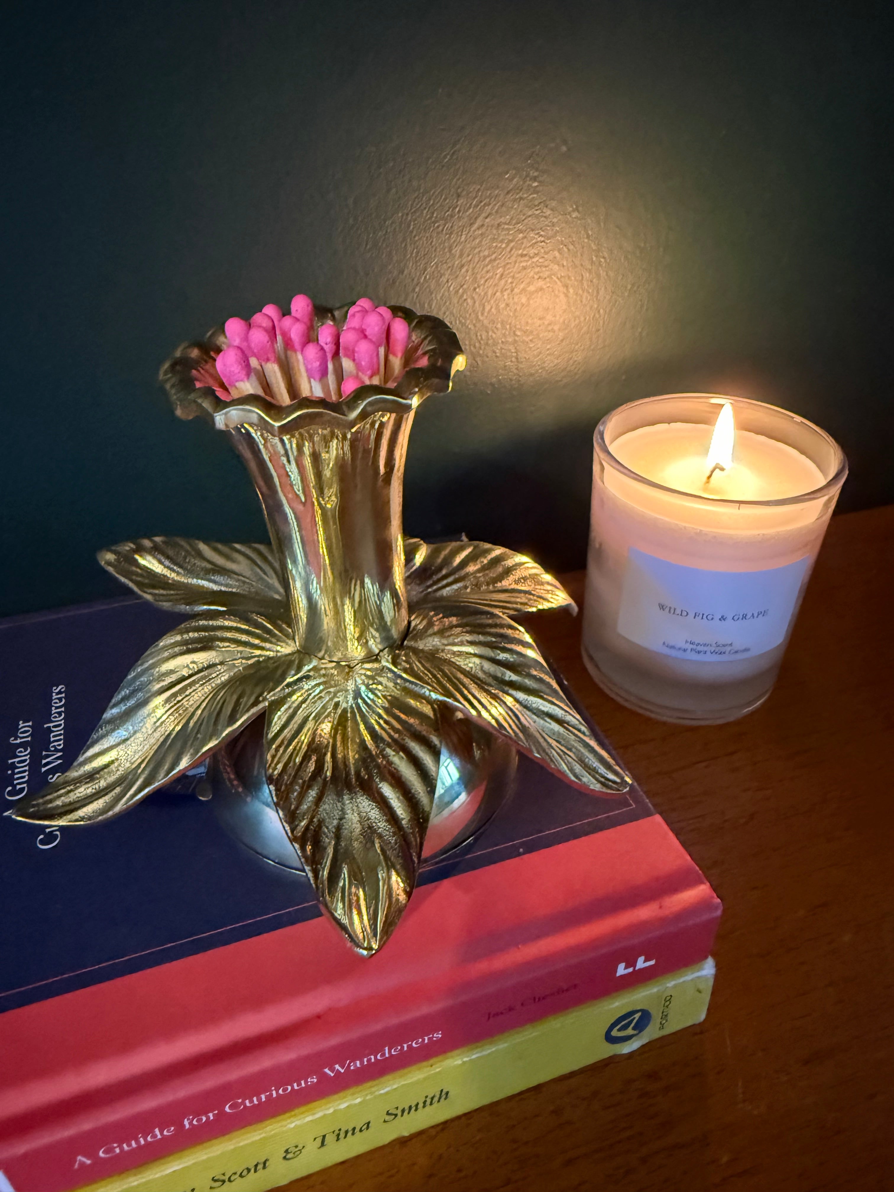 Daffodil Brass Match Striker