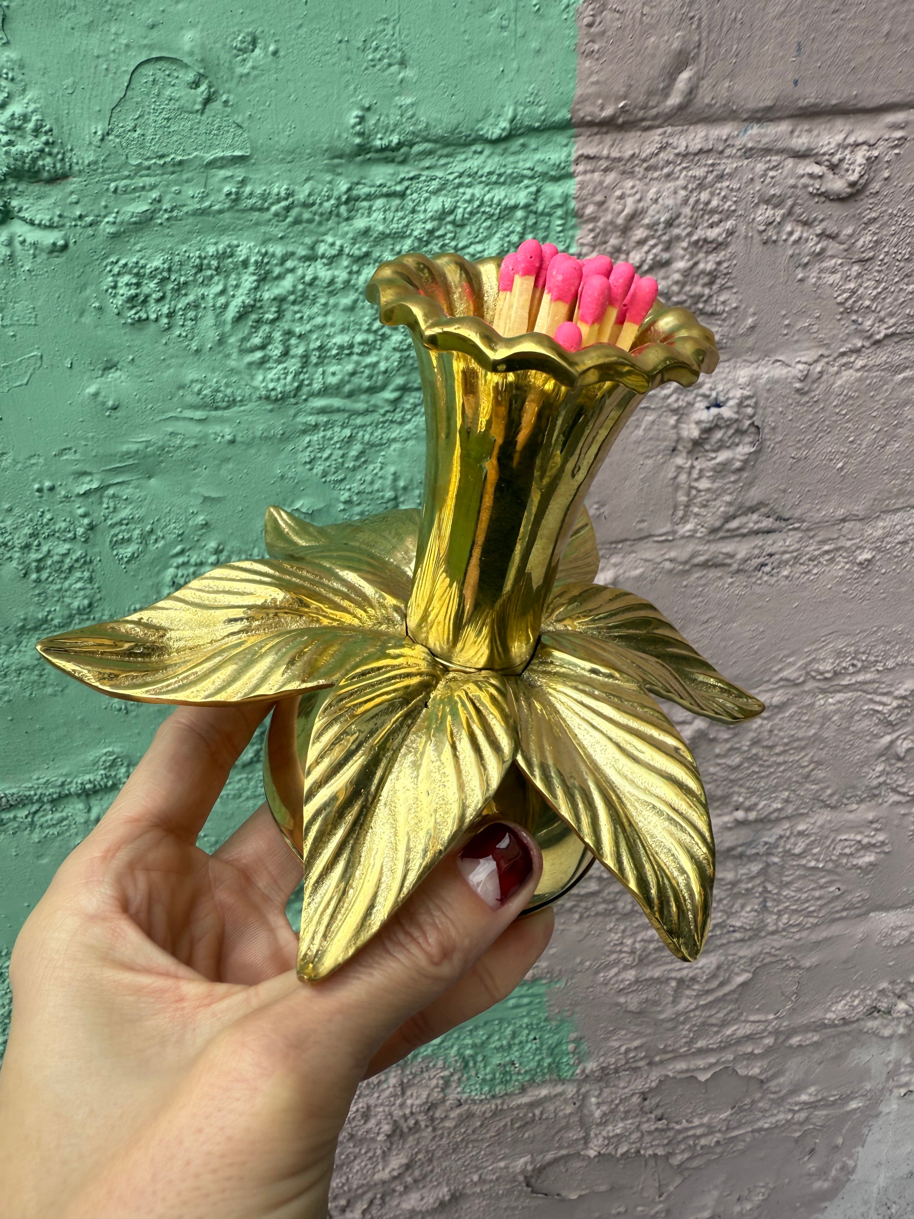 Daffodil Match Striker