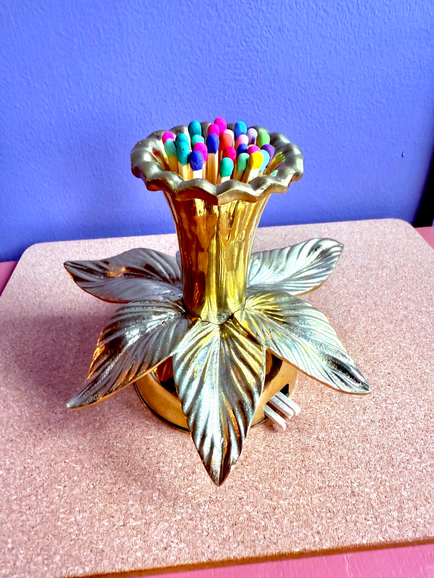 Daffodil Match Striker