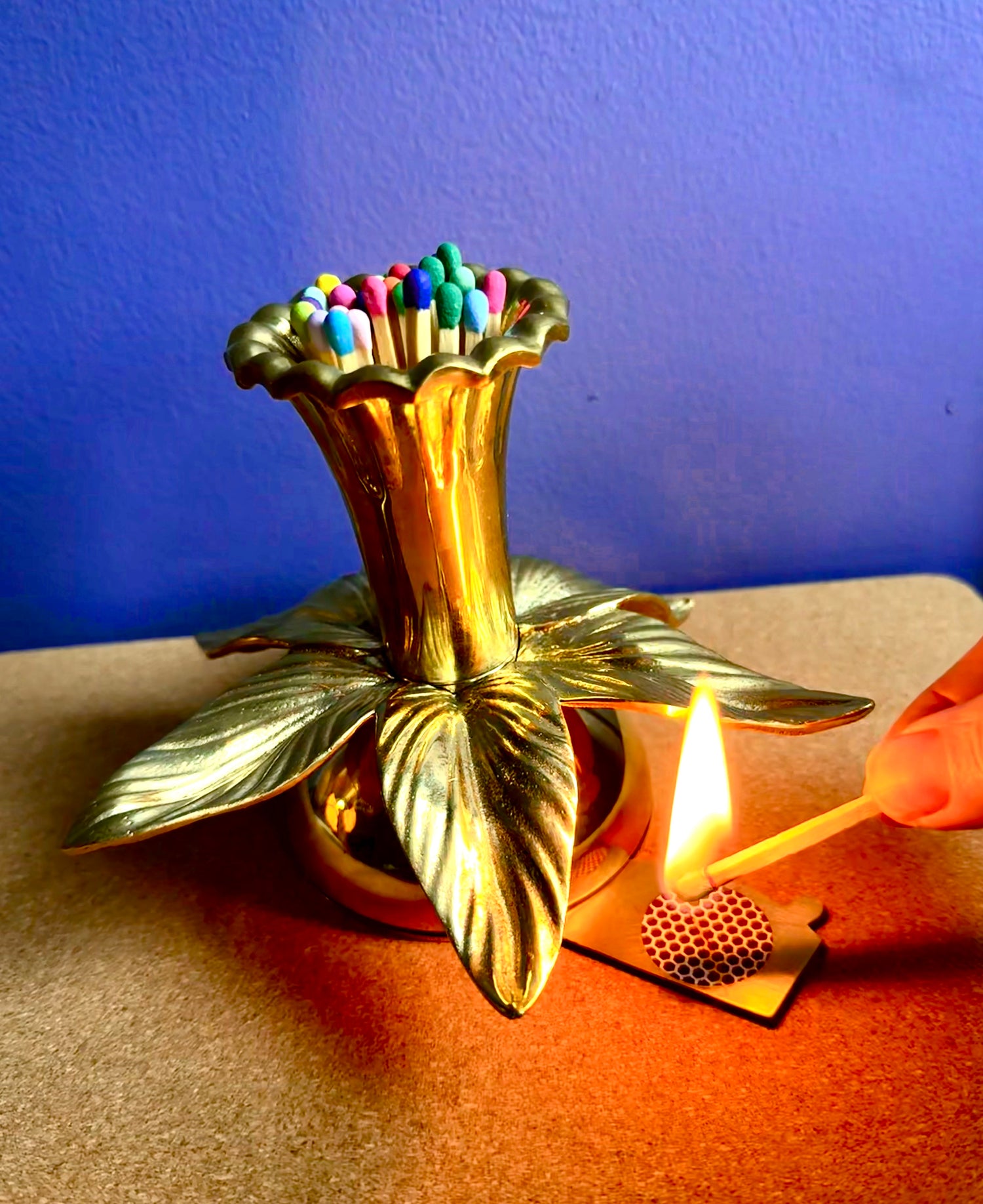 Daffodil Match Striker