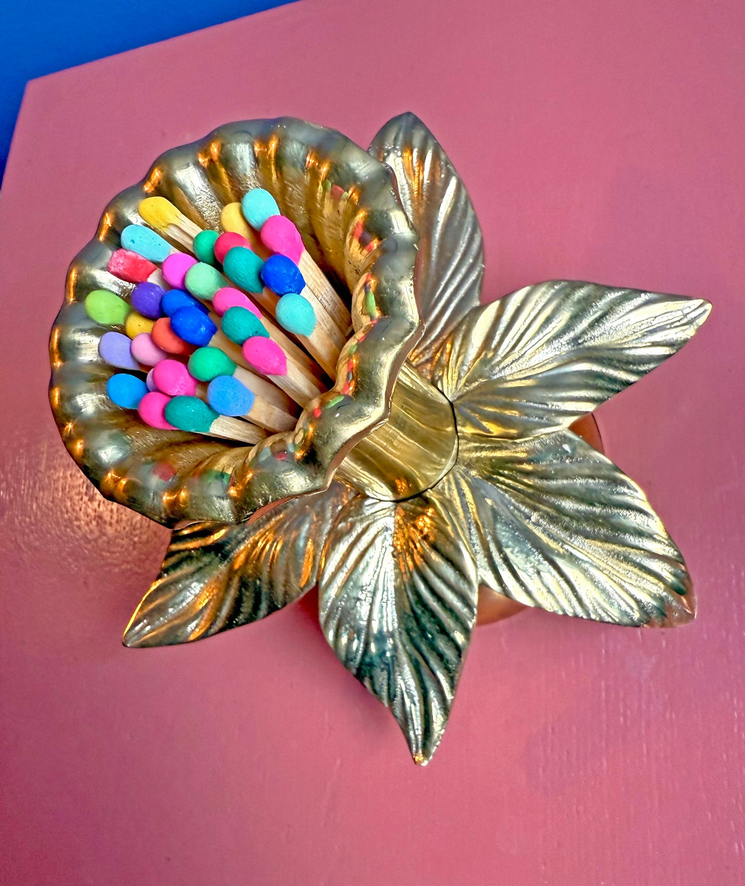 Daffodil Match Striker