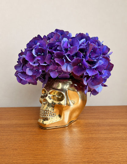 Skull Match Striker